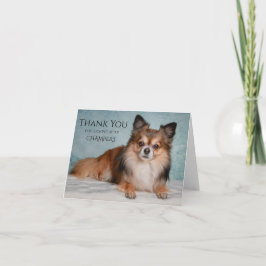 Cartão De Agradecimento Obrigado Por Cuidar Do Nosso Pet