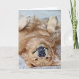 Cartão De Agradecimento Obrigado presas