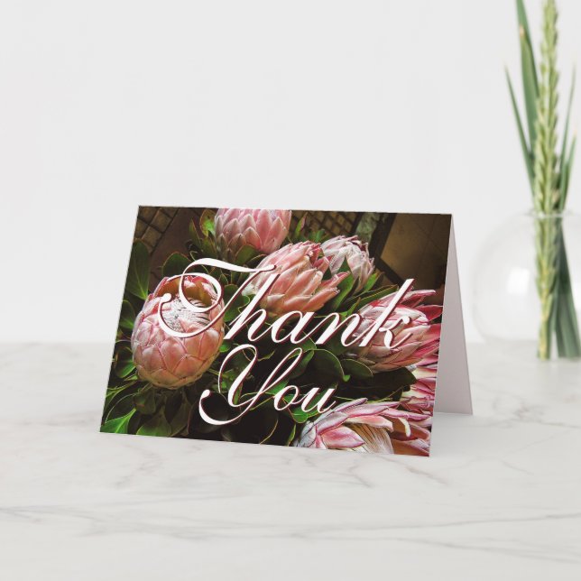 Cartão De Agradecimento Obrigado Protea Card (Frente)