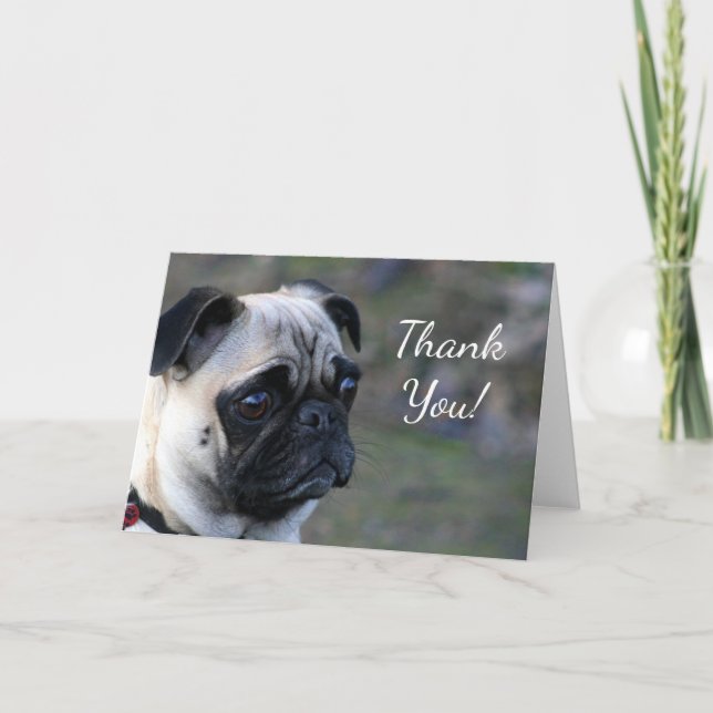 Cartão De Agradecimento Obrigado, pug. (Frente)
