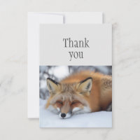 Obrigado, Raposa Vermelha Bonita Dormindo Animal