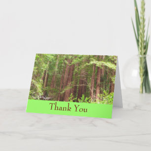 Cartão De Agradecimento Obrigado, Redwood Forest Card