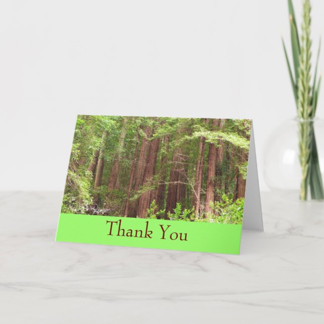 Cartão De Agradecimento Obrigado, Redwood Forest Card (Frente)