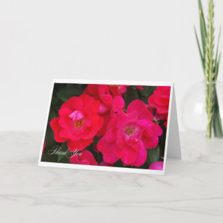 Cartão De Agradecimento Obrigado rosas