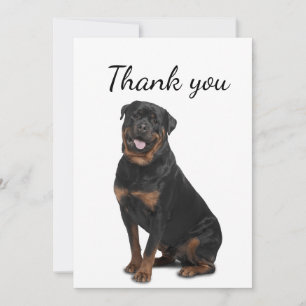 Cartão De Agradecimento Obrigado Rotweiller Porco Animal