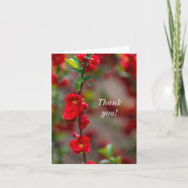 Cartão De Agradecimento Obrigado Scarlet Line