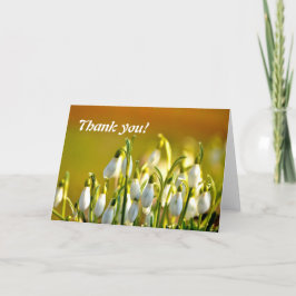 Cartão De Agradecimento Obrigado Snowdroers Flores
