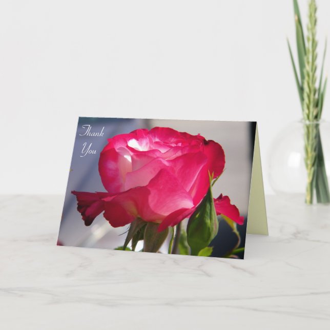 Cartão De Agradecimento Obrigado todo o Occasions_Card (Frente)