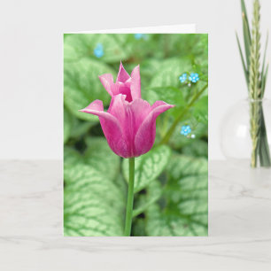 Cartão De Agradecimento Obrigado Tulipa Rosa