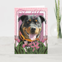 Obrigado - tulipas cor-de-rosa - Rottweiler -