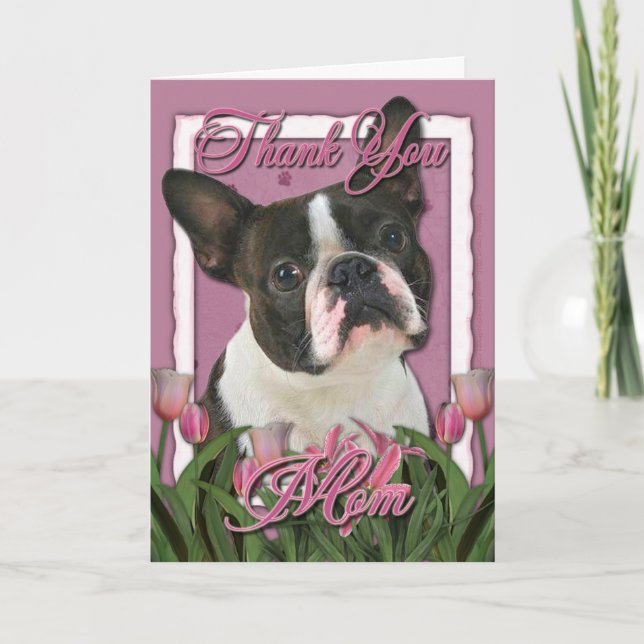 Cartão De Agradecimento Obrigado - Tulipas Rosa - Boston Terrier (Frente)