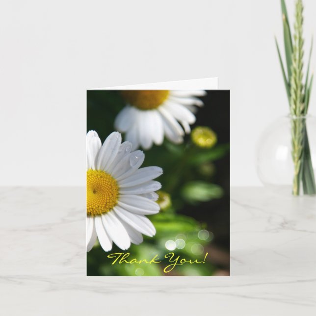 Cartão De Agradecimento Obrigado, Vazio, Daisy (Frente)