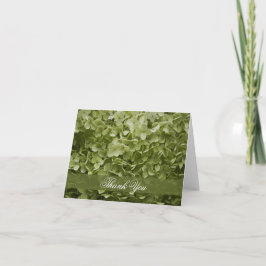 Cartão De Agradecimento Obrigado verde do Hydrangea de Annabelle você