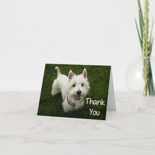Cartão De Agradecimento Obrigado West Highland Terrier Puppy Dog Card (Frente)