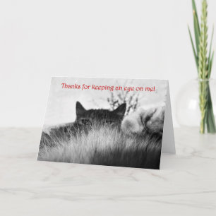 Cartão De Agradecimento Obrigados