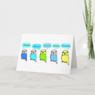 Cartão De Agradecimento Obrigados-budgies