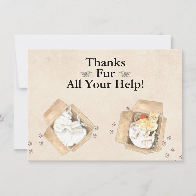 Cartão De Agradecimento Obrigados Dão Toda A Sua Ajuda! Gatos em caixas, o (Frente)