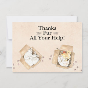 Cartão De Agradecimento Obrigados Dão Toda A Sua Ajuda! Gatos em caixas, o