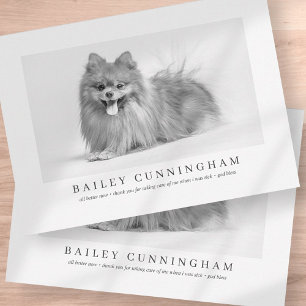 Cartão De Agradecimento Obrigados De Pet Fotográficos Modernos E Simples 