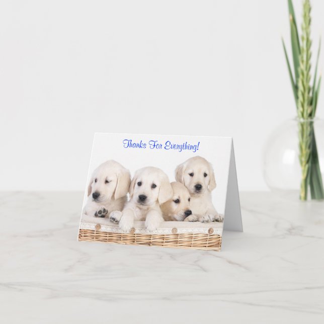 Cartão De Agradecimento Obrigados Labrador Retriever Puppy Dogs Card (Frente)