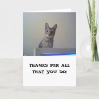 Obrigados por tudo que você faz!