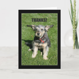 Cartão De Agradecimento Obrigados! Sua Bondade Quase Me Afastou!