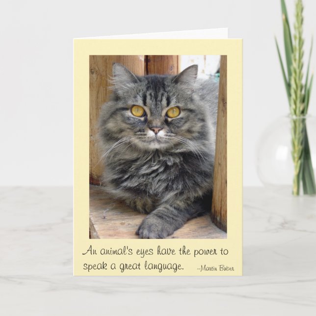 Cartão De Agradecimento Olhos de Gypsy (Frente)