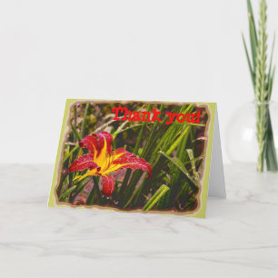 Cartão De Agradecimento Ontem Lily Depois Da Chuva