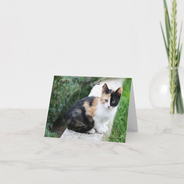 Cartão De Agradecimento Opera Phantom Cat (Frente)