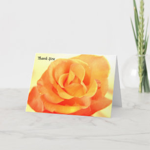 Cartão De Agradecimento Orange Rose Wedding Thank You Card