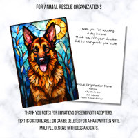 Organização de Resgate de Animais em Estilo de Vid