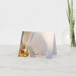 Cartão De Agradecimento Orquídea Branca Elegância Obrigado