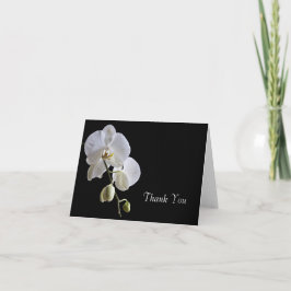 Cartão De Agradecimento Orquídea Branca em Preto Obrigado