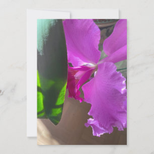 Cartão De Agradecimento Orquídea Luxuriante