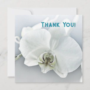 Cartão De Agradecimento Orquídea Phalaenopsis Branca