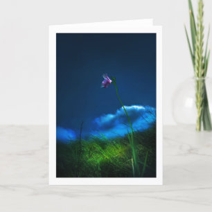 Cartão De Agradecimento Orquídea selvagem GUAM