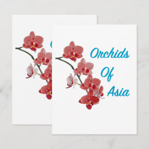 Cartão De Agradecimento Orquídeas da Ásia Day Spa