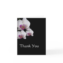 Orquídeas Rosa, Obrigado