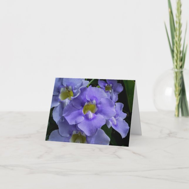 Cartão De Agradecimento Orquídeas Roxas (Frente)