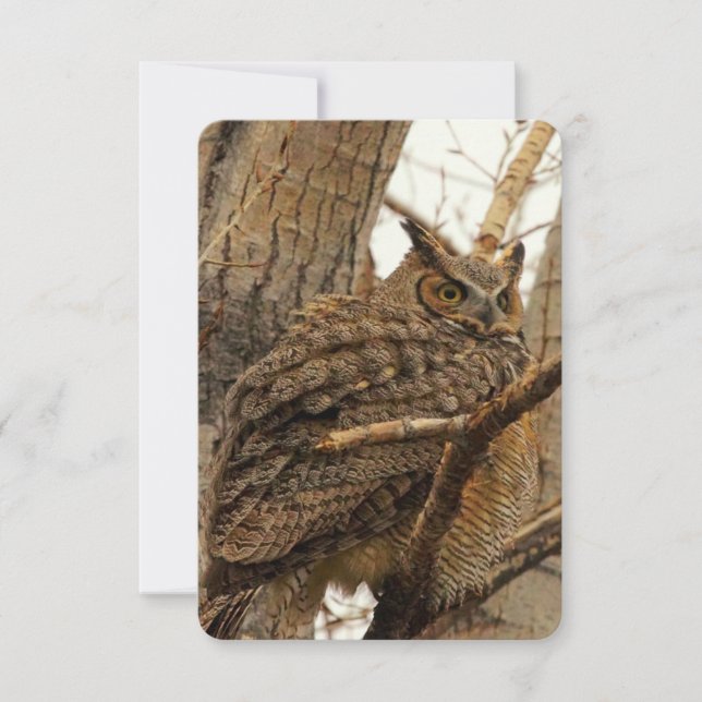 Cartão De Agradecimento Owl Flat Notecard (Frente)