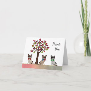 Cartão De Agradecimento Papillon Spaniel Thank You Card