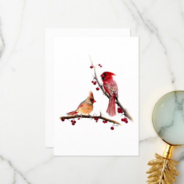 Cartão De Agradecimento Par d'água cardinal (Winter Cardinal Pair Thank You Card by Jenn Steffen Art)