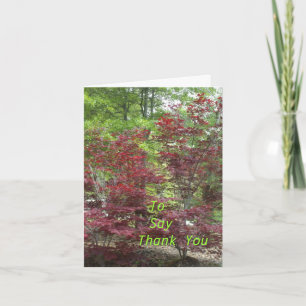 Cartão De Agradecimento Para Agradecer