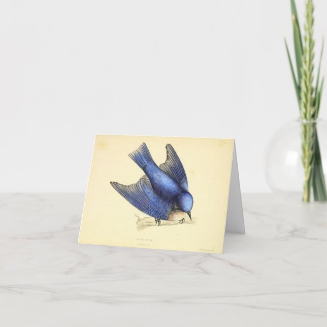 Cartão De Agradecimento Pássaro Azul da Felicidade (Frente)