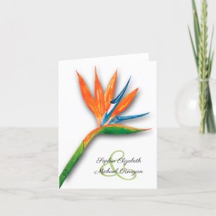 Cartão De Agradecimento Pássaro de Paraíso Aquarela