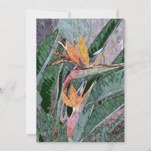 Cartão De Agradecimento Pássaro do Paraíso