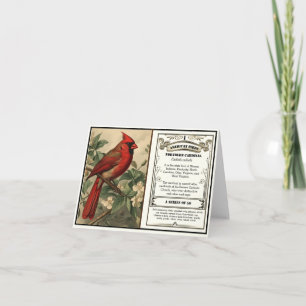 Cartão De Agradecimento Pássaro Estadual Cardinal do Norte Vintage Obrigad