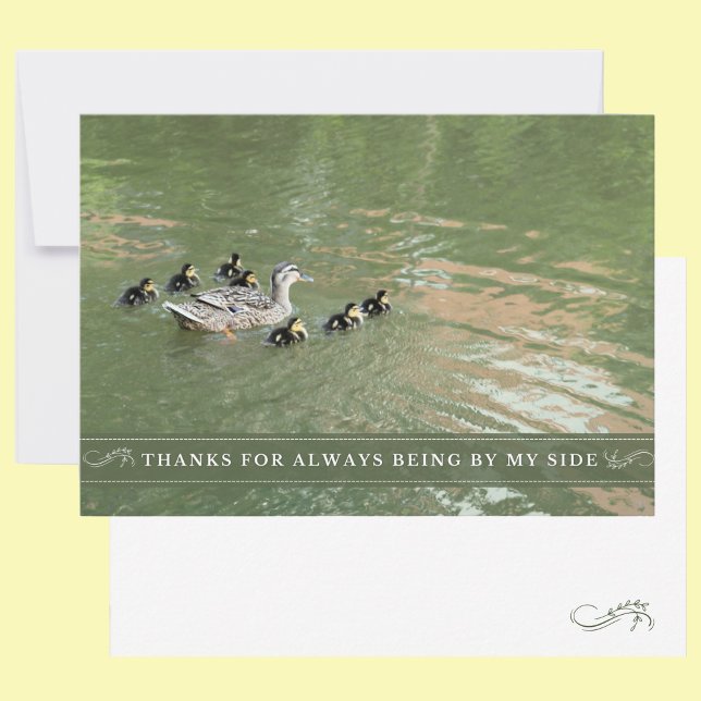 Cartão De Agradecimento Pato-Mãe e Patos Do Meu Lado (A nature flat thank you card featuring a mother duck and her ducklings.)