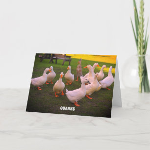 Cartão De Agradecimento Patos no Parque dos Patos Engraçados