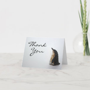 Cartão De Agradecimento Penguin Thank You Card